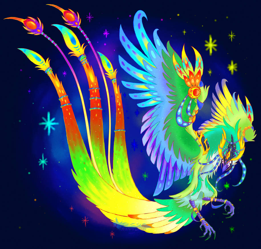 rainbow_bird