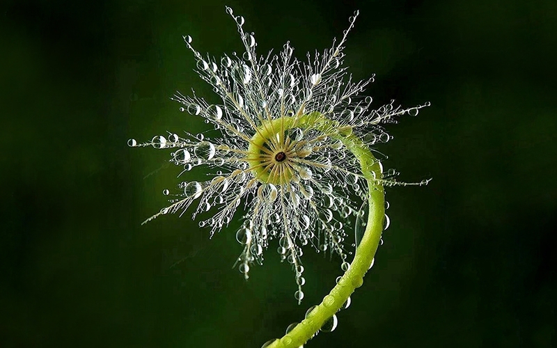 SacredGeometry