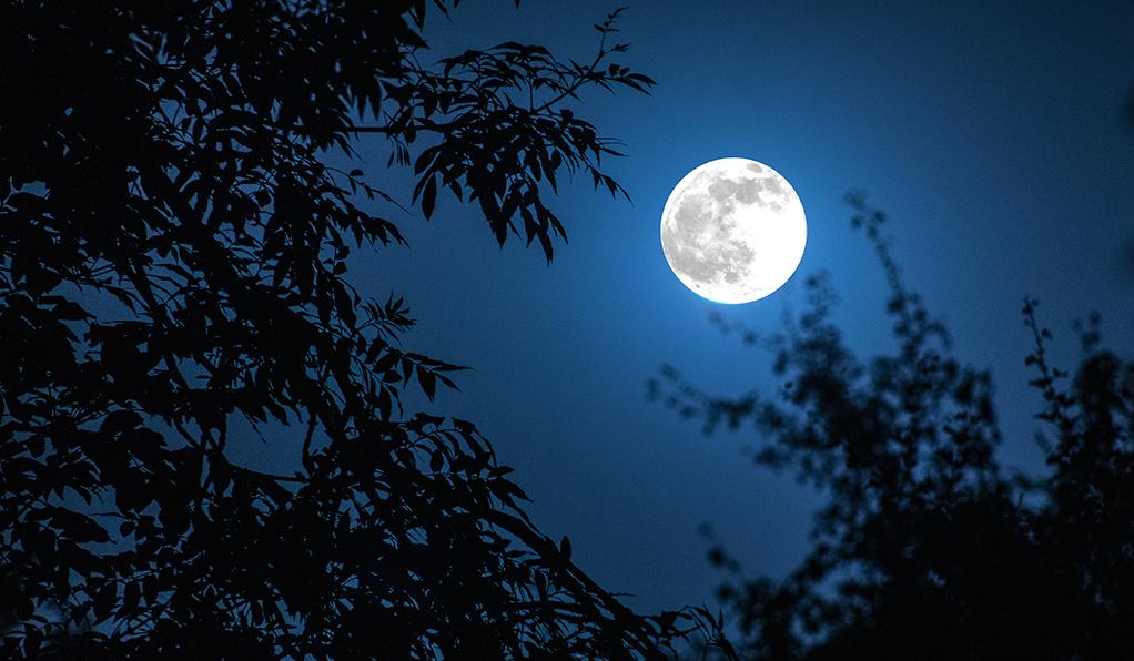 Moonlight